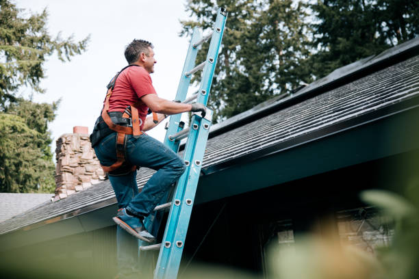 Best Roof Maintenance and Cleaning  in East Douglas, MA